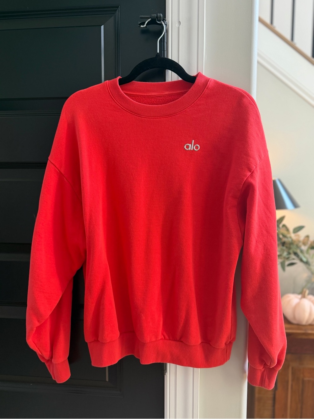 ALO accolade sweatshirt